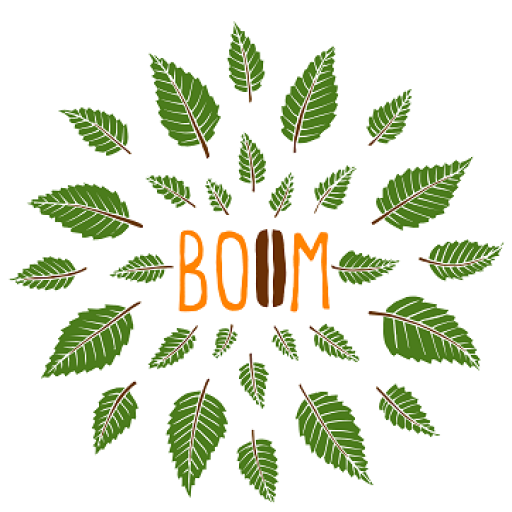 Logo Boom